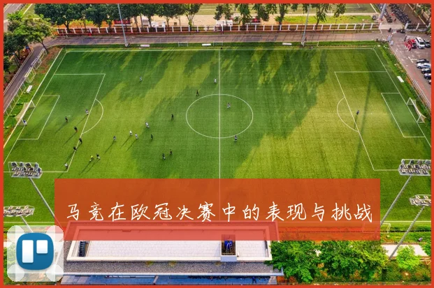 马竞在欧冠决赛中的表现与挑战